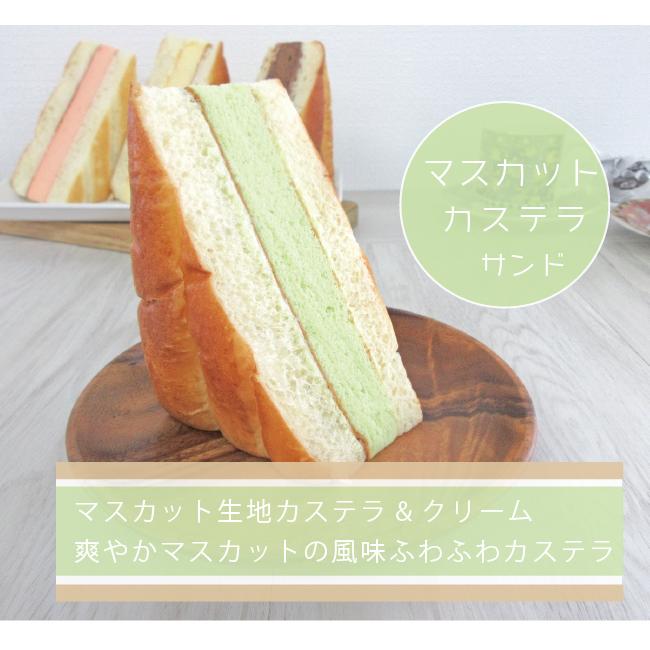 カステラ サンド カラフル ５種類６コセット おまけ付 進化系パン ふわふわ パンギフト 冷凍パン 大元堂製パン Dai 004 ぱんであーる 通販 Yahoo ショッピング