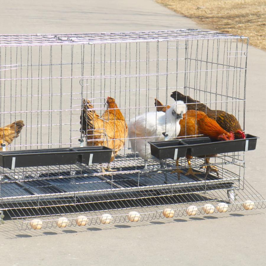 130 * 60 * 72cm特大世帯折りたたみ鶏小屋 鶏小屋 チキンケージ飼育ケージ フードボウル付き 自動エッグロールケージ トレー・水槽 72cm特大世帯折りたたみ鶏小屋 鶏小屋 チキンケージ飼育ケージ フードボウル付き 自動エッグロールケージ トレー 水槽