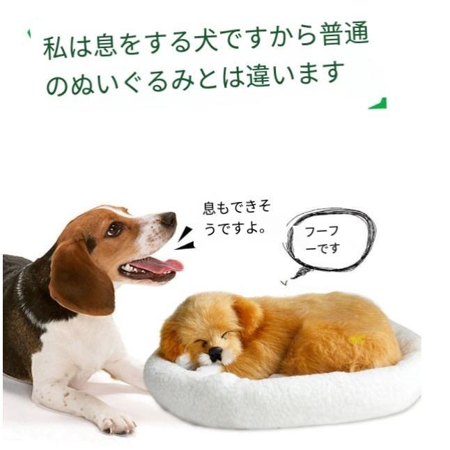 呼吸して眠るリアルな犬のぬいぐるみ 犬のぬいぐるみ リアル 本物