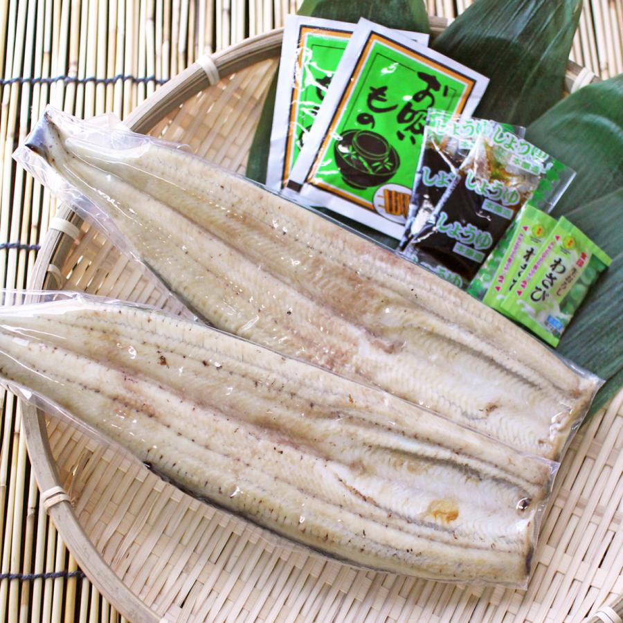 浜名湖うなぎ 白焼き 2人前 わさび・醤油・吸い物付き 静岡県浜松産 ギフト プレゼント 誕生日 お祝い 贈答品 成人祝い |  | 01