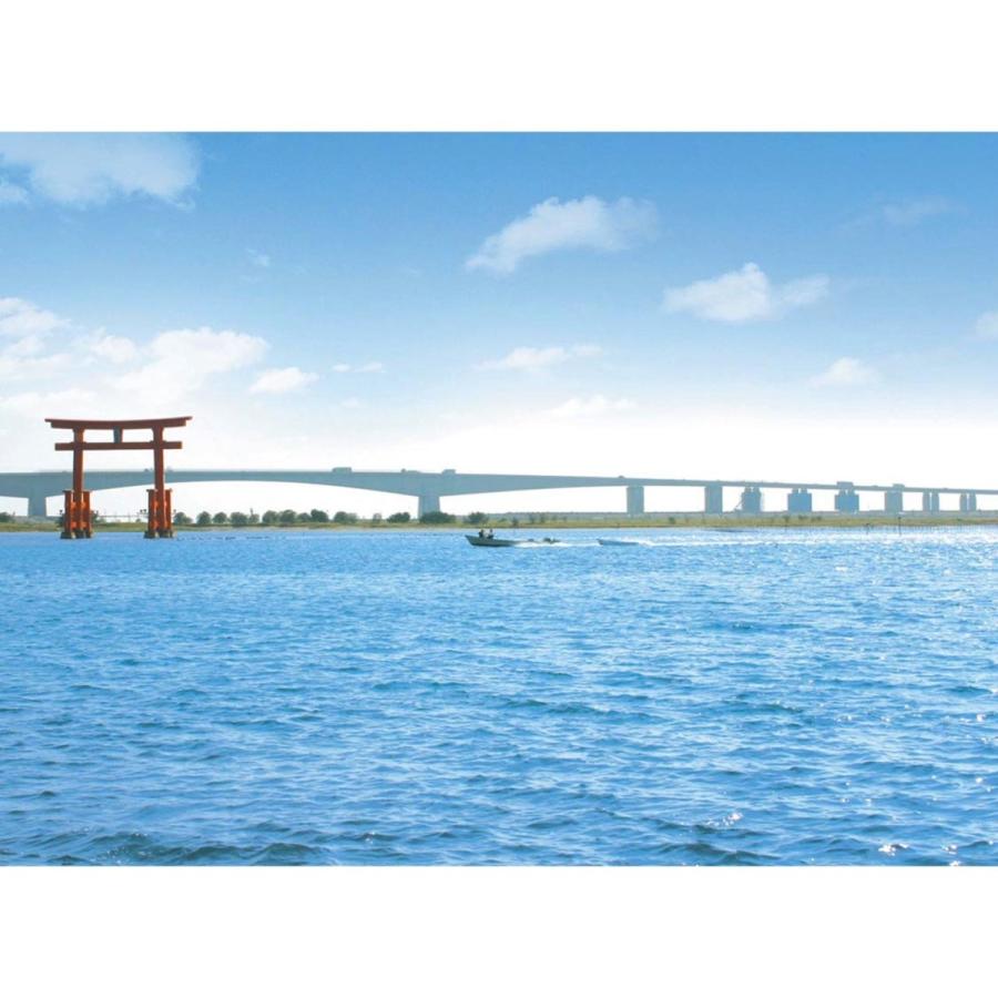 浜名湖うなぎ 白焼き 2人前 わさび・醤油・吸い物付き 静岡県浜松産 ギフト プレゼント 誕生日 お祝い 贈答品 成人祝い |  | 03