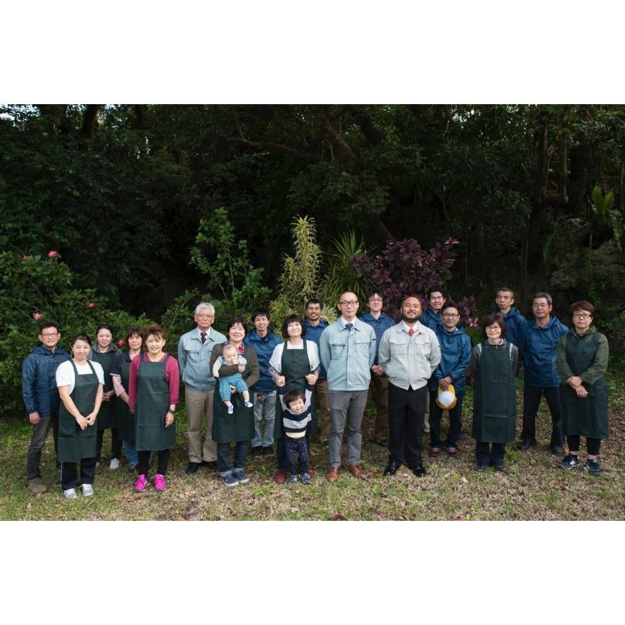 みやぎ農園の手づくり島唐辛子マヨネーズ 210g 沖縄県産 ギフト プレゼント 誕生日 お祝い 贈答品 成人祝い |  | 07