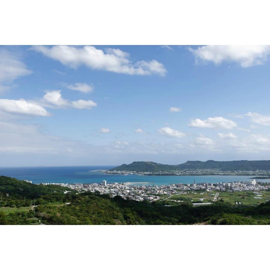 黒糖スパイシージンジャーシロップ 沖縄県産 200ml みやぎ農園 ギフト プレゼント 誕生日 お祝い 贈答品 成人祝い |  | 05