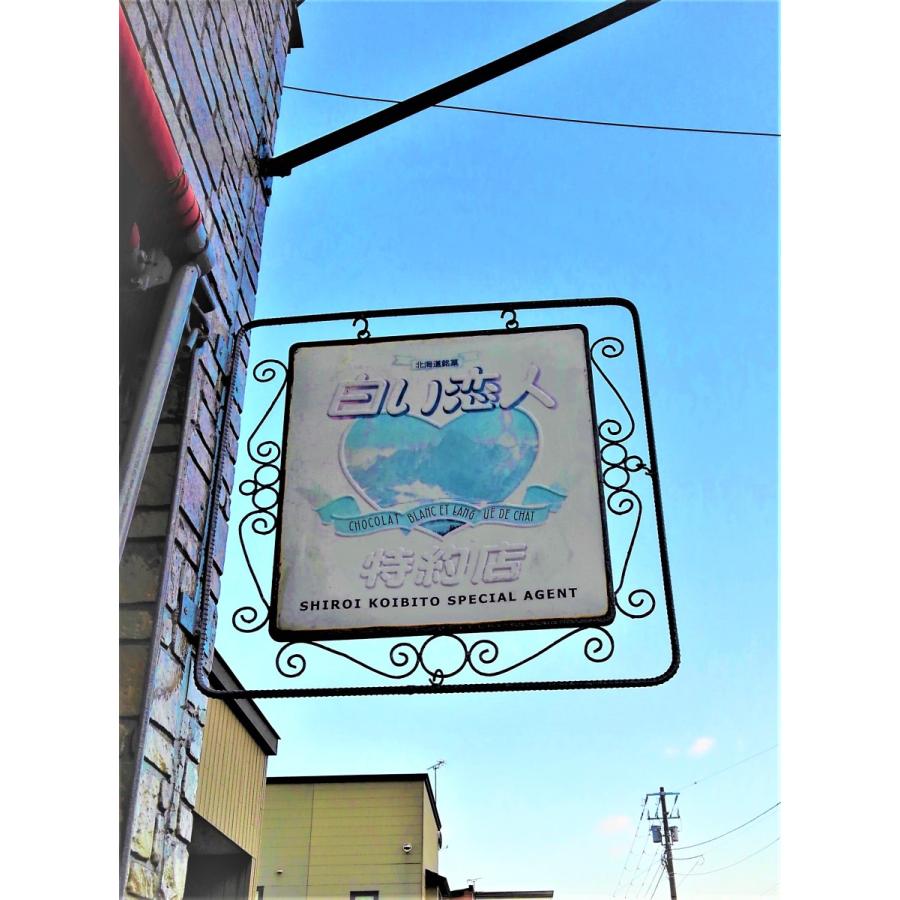 白い恋人 21春夏新作 12枚入 １０箱