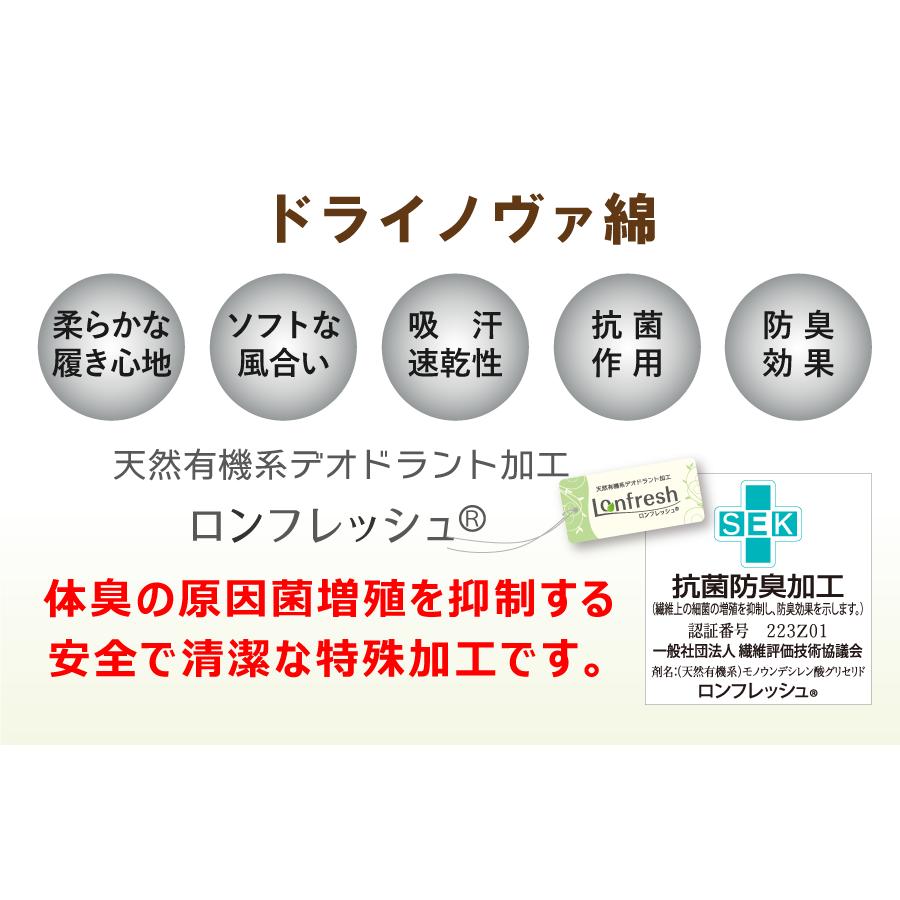 ドライノヴァ綿