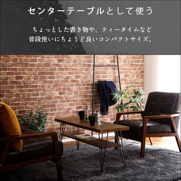 テレビ台 ロータイプ 〔W110×D35×H45cm〕 ヴィンテージ調 マルチラック｜table-lukit｜14