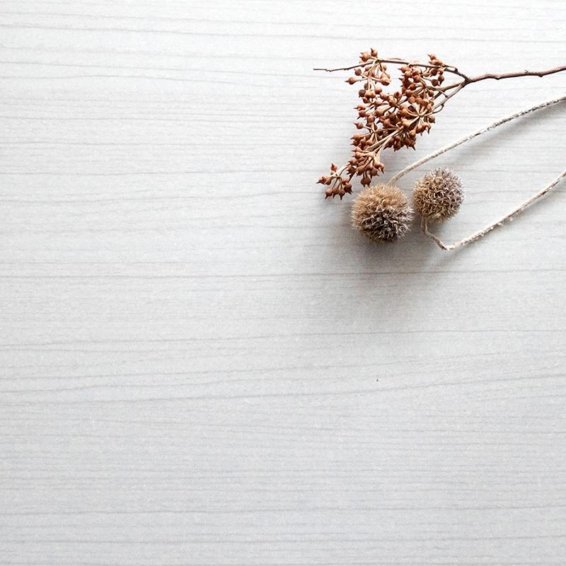 ダストボックス プッシュ扉 1台単品 ホワイト/全3色 45L×2か所 幅50×奥行き30×高さ80cm 分別 ゴミ箱 大容量 ウッド 木目 EPO-C-DB |  | 16