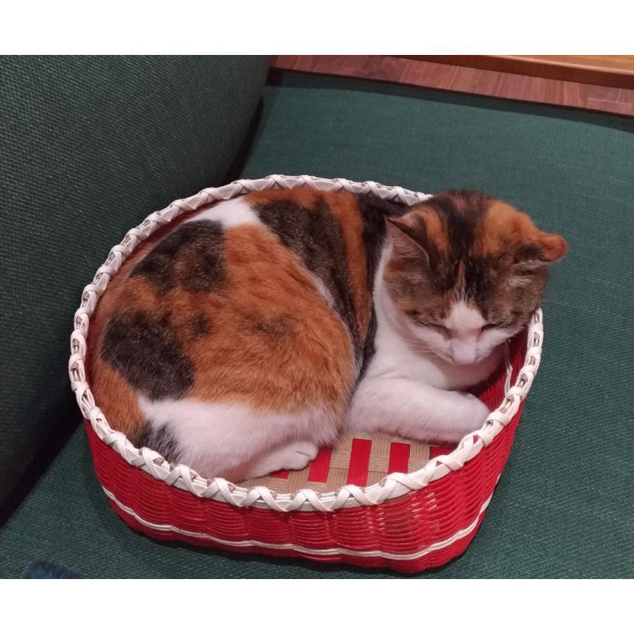 安心の日本製　　ネコちゃんワンちゃんのクーファン （Mサイズ）色名：煎茶グリーン　　シンプルなデザインとカラーのベッドです。 |  | 04