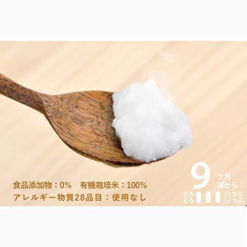 日本最大のブランド 授乳 食事用品 Greenmind グリーンマインド 有機jas認証 無添加仕上げの離乳食 赤ちゃんのためのお粥 9ヶ月頃から 12個 Www Threeriversofs Com