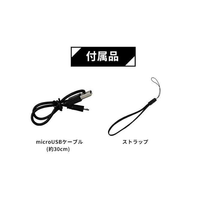 大容量 ソーラー充電器 ゴツ充ワイター ソーラー充電器 大容量 10000mAh モバイルバッテリー ソーラー スマホ 充電器 ソーラーパネル .3R | ブランド登録なし | 15