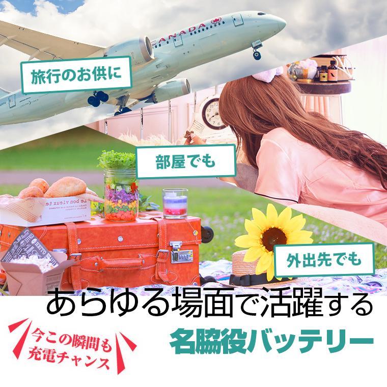 便利すぎる軽量小型モバイルバッテリー 送料無料 名入れ | 小型 急速 5000mAh モバイルバッテリー ALPHALING LITE | ALPHA LING | 10