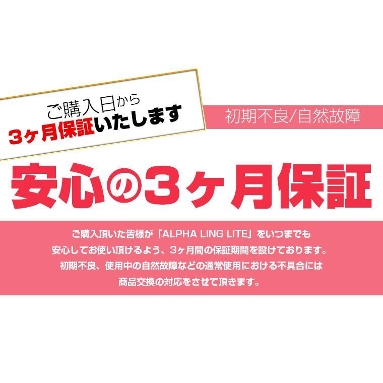 便利すぎる軽量小型モバイルバッテリー 送料無料 名入れ | 小型 急速 5000mAh モバイルバッテリー ALPHALING LITE | ALPHA LING | 11