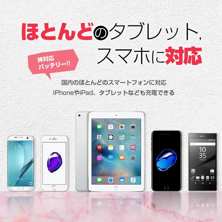 便利すぎる軽量小型モバイルバッテリー 送料無料 名入れ | 小型 急速 5000mAh モバイルバッテリー ALPHALING LITE | ALPHA LING | 09