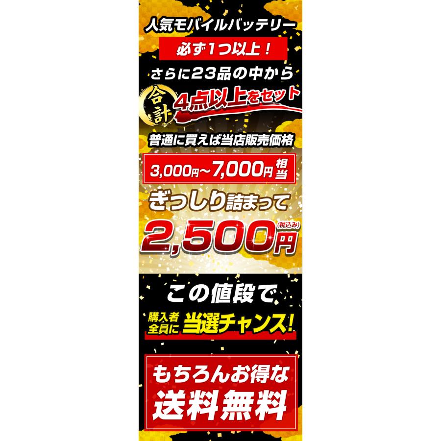 福袋 2026 豪華賞品が抽選で当たる!! モバイルバッテリー が必ず入るお得な福袋 Switch2 家電 お肉 飛騨牛 新春 キッズ レディース メンズ 初売 セット |  | 15