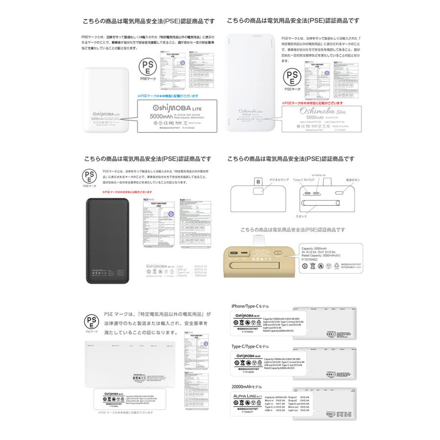 福袋 2026 豪華賞品が抽選で当たる!! モバイルバッテリー が必ず入るお得な福袋 Switch2 家電 お肉 飛騨牛 新春 キッズ レディース メンズ 初売 セット |  | 19