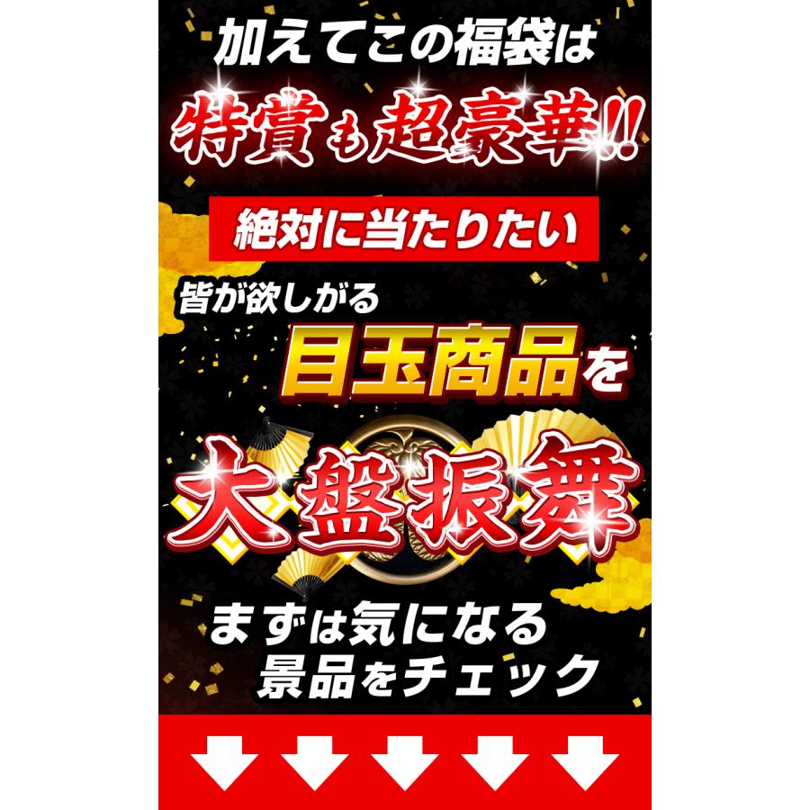 福袋 2026 豪華賞品が抽選で当たる!! モバイルバッテリー が必ず入るお得な福袋 Switch2 家電 お肉 飛騨牛 新春 キッズ レディース メンズ 初売 セット |  | 04