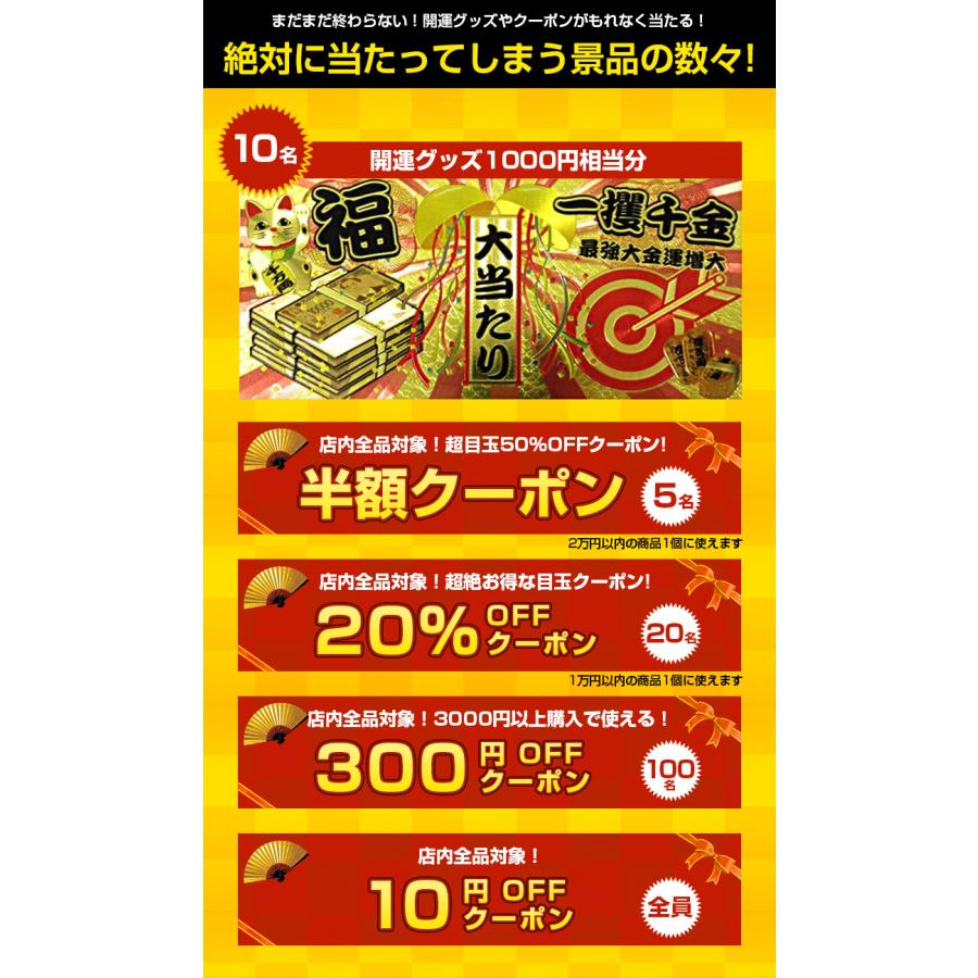 福袋 2026 豪華賞品が抽選で当たる!! モバイルバッテリー が必ず入るお得な福袋 Switch2 家電 お肉 飛騨牛 新春 キッズ レディース メンズ 初売 セット |  | 07