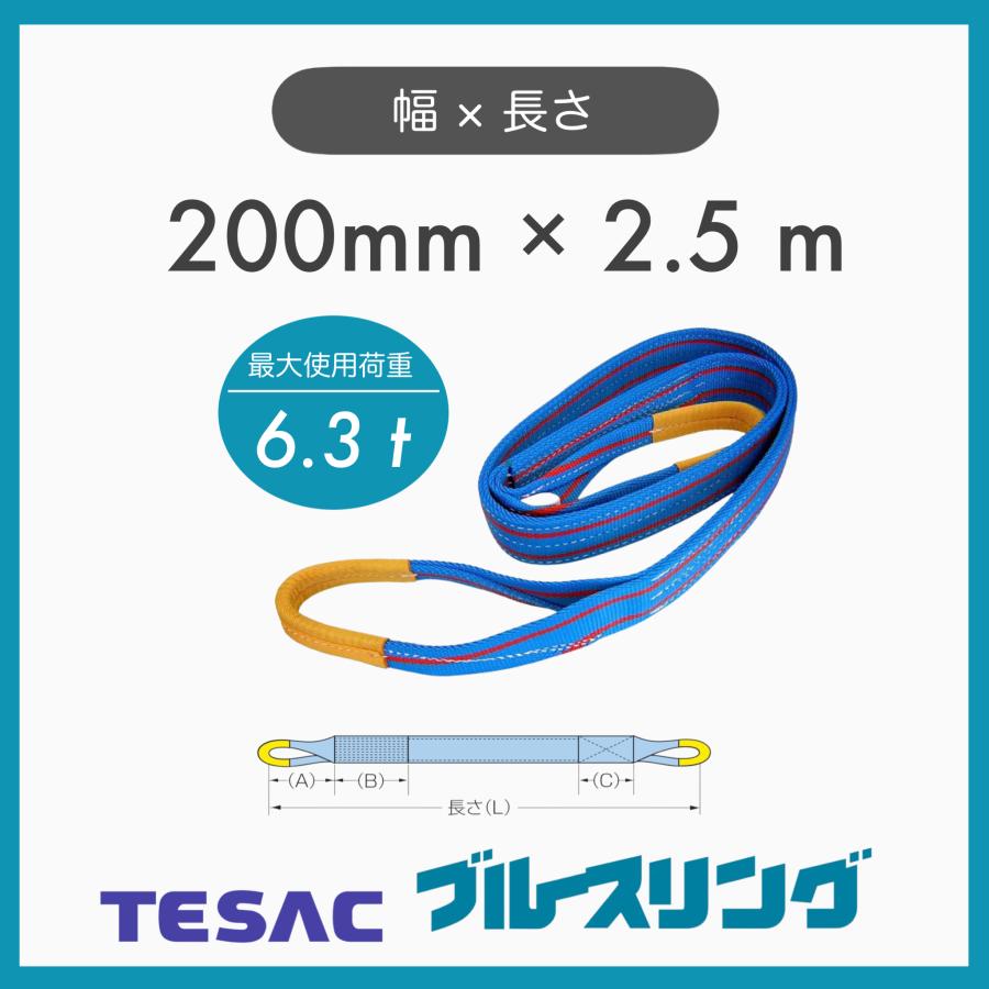 1本 TESAC テザック ブルースリング スリングベルト JIS3等級 3E 巾200mm×2.5m 最大使用荷重6.3t : TAC ...