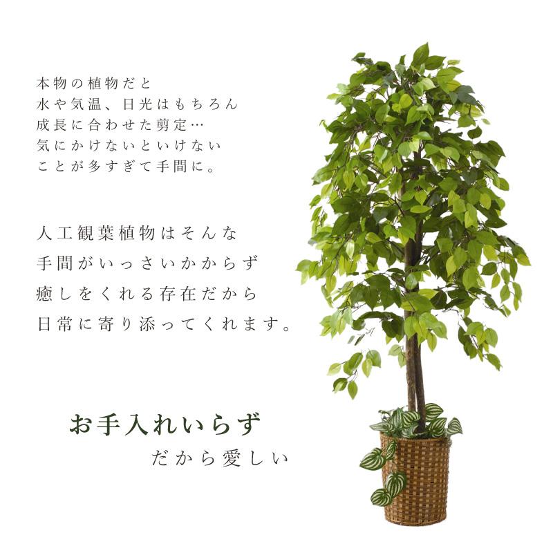 ベンジャミン フェイクグリーン 高さ150cm 人工観葉植物 大型 おしゃれ