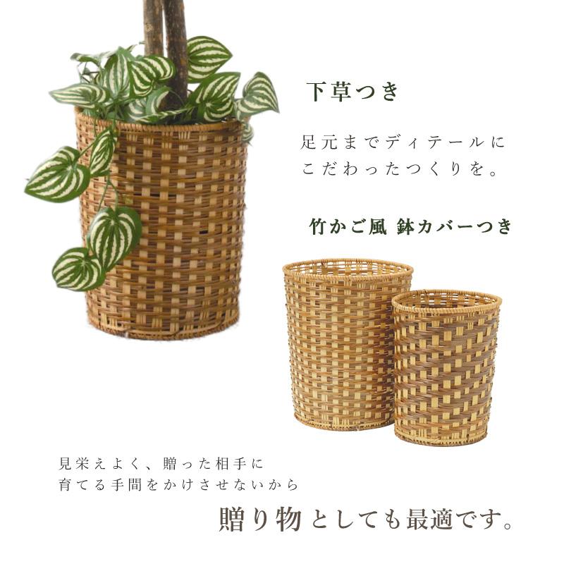ベンジャミン フェイクグリーン 高さ150cm 人工観葉植物 大型 おしゃれ