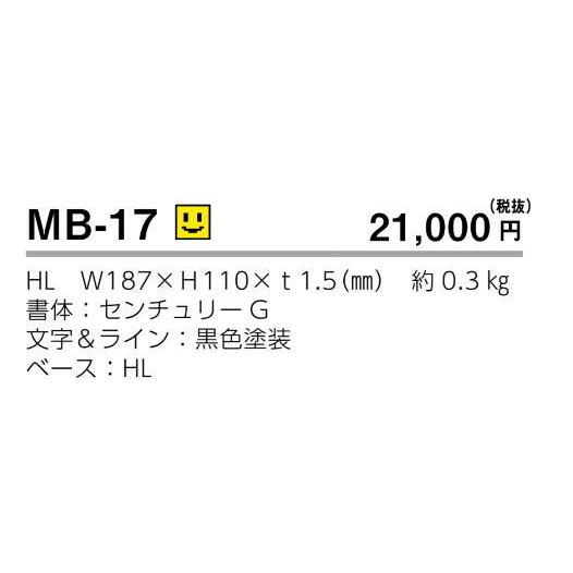 ステンレス 表札 おしゃれ  ファイン　Fine　MB-17 【モデスト】