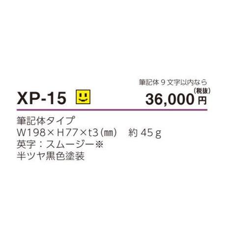 美濃クラフト 表札 切文字 筆記体タイプ XP-15 表札 戸建て おしゃれ
