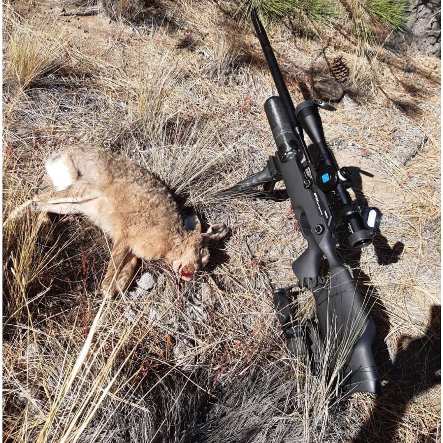 Hd 4 x50sfir Ffp Discovery Optics 日本正規販売代理店 Hd4sfir Tac Zombiegear 通販 Yahoo ショッピング