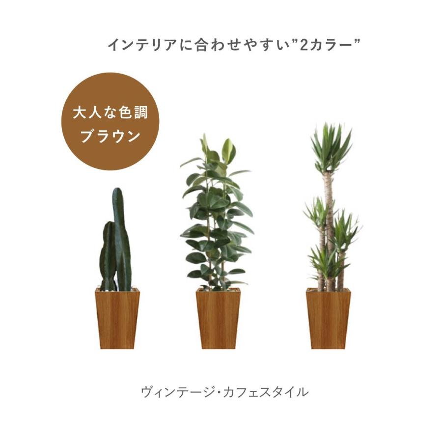 プランターカバー おしゃれ 鉢カバー ウッドプランターボックス ウッドプランターカバー 木製 プランツボックス 植木鉢カバー ウッドボックス 受け皿 | tac INTERIOR | 03