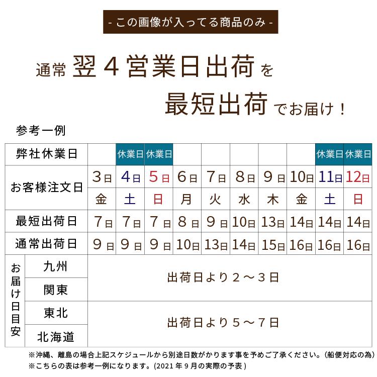 ソファ ソファー ロー カバー 1人 ベット クッション 一人 北欧 おしゃれ 安い コンパクト シンプル ダイニングソファー カウチソファー 60 80 アイアン | tac INTERIOR | 14