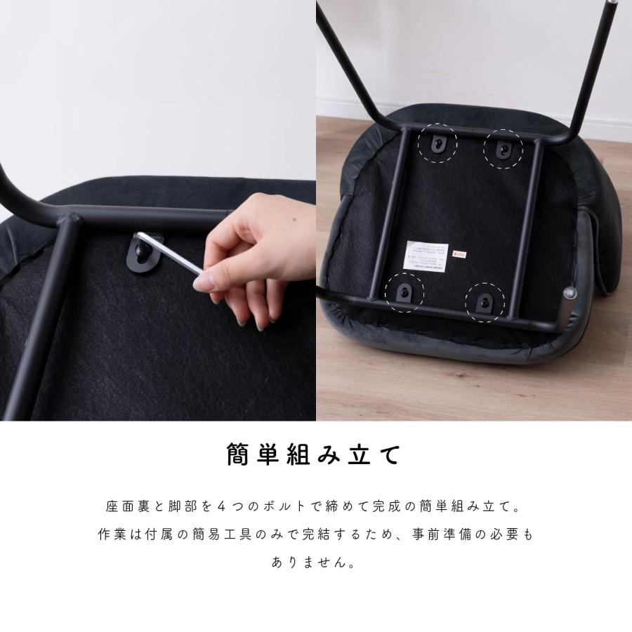 tac INTERIOR ダイニングチェア 2脚セット ファブリック アイアン脚