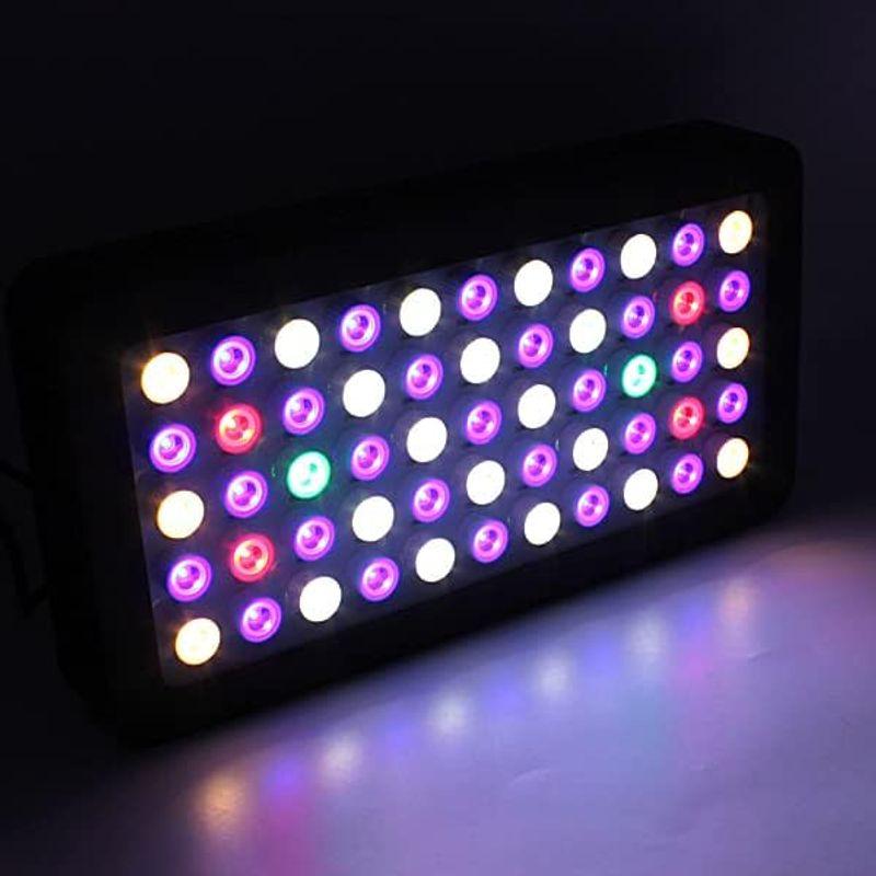 Wellvie LED 水槽照明 海水魚 サンゴ水槽 水草 アクアリウムライト 青 赤 白 緑 高輝度 ACケーブル （1SET/165W） LED 水槽照明 海水魚 サンゴ水槽 水草 アクアリウムライト 青 赤 白 緑 高輝度 ACケーブル 1SET/165W サイズ 約