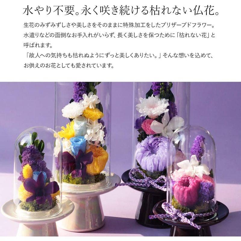 Makefuture 紫苑 M プリザーブドフラワー 仏花 ガラスドーム お悔やみ お手入れ不要 単品 紫苑 プリザーブドフラワー 仏花 ガラスドーム お悔やみ お手入れ不要 単品