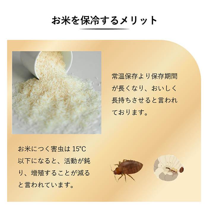 保冷米びつ ライスクーラー 31kgお米の保存に最適な15℃で庫内をキープ ROOMMATE 保冷米びつ ライスクーラー 31kg - ROOMMATE