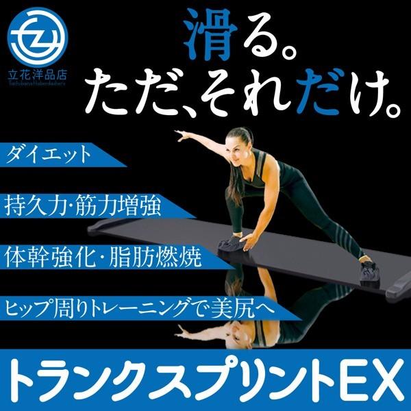 体幹 トレーニング トランクスプリントEX スライドボード  スライディングボード 有酸素運動 ダイエット送料無料｜tachibana-youhinten