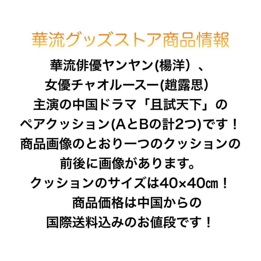 中国ドラマ「且試天下」プリントペアクッション　ヤンヤン(楊洋) チャオルースー（趙露思）主演！｜tachikishop｜05