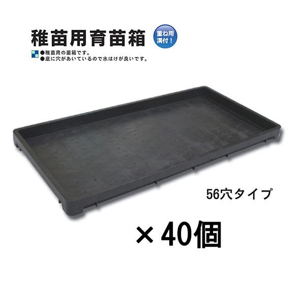 欠品中・5月以降入荷予定) (40個セット) 日本製 稚苗用育苗箱 (56穴