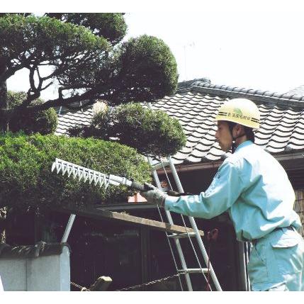 ARS (アルス) 高枝電動バリカンDKR DKR-0330CT-BK ショート チルト付