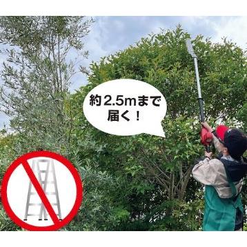 ARS (アルス) 高枝電動バリカンDKR DKR-1030TC-BK ロング チルト付 1.7