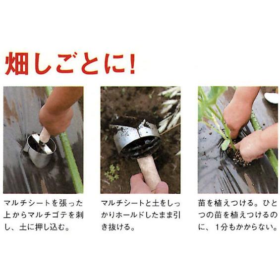 たまでぃあなのすけ専用 MTG - 私たちは、ブランド開発カンパニーMTGです。