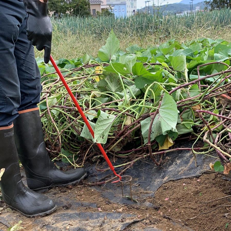 浅野木工所 杭抜き太郎 杭抜き具 マルチや防草シートの固定ピン(杭