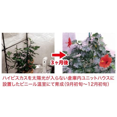 富士倉 蛍光灯型植物育成ライト (KY-36W-SC) 明るさ2900ルーメン 防塵