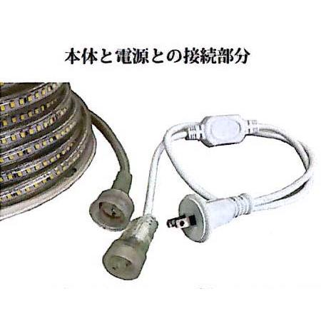 2巻セット (動画あり) FRL-W20M LEDロープライト 20m 白 富士倉_1