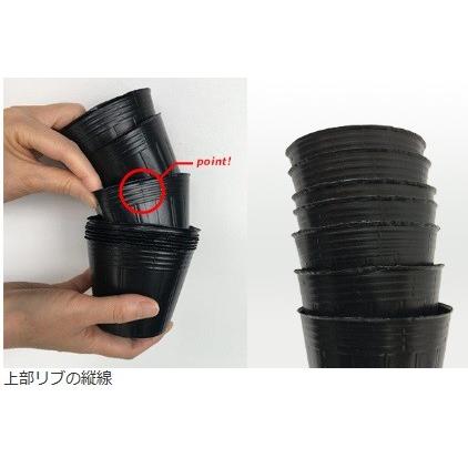 ポリポット12センチ深鉢黒1000個