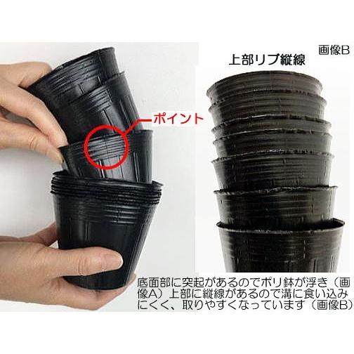 中部農材 (1000個入特価) ポリポット 13.5cm ポリ鉢 丸型ポット 黒丸