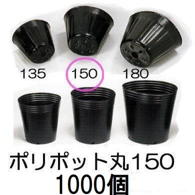 中部農材 (1000個入特価) ポリポット 15cm ポリ鉢 丸型ポット 黒丸 150
