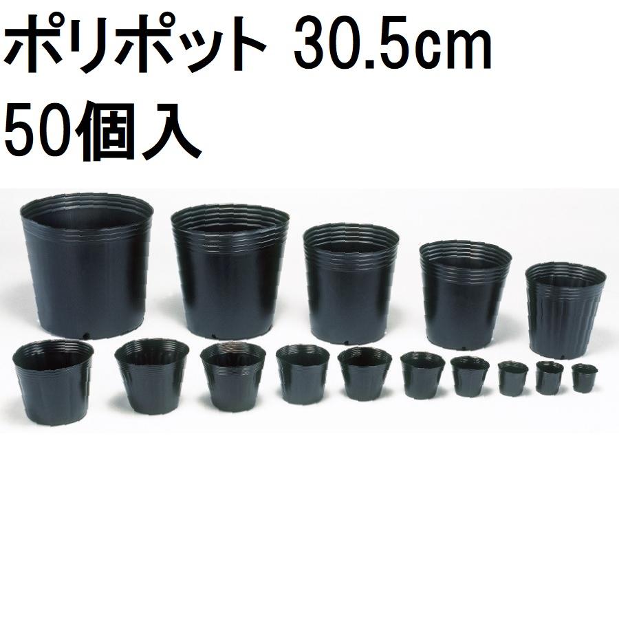 中部農材 （欠品中・2026/05/08）(徳用50個入) ポリポット 30.5cm