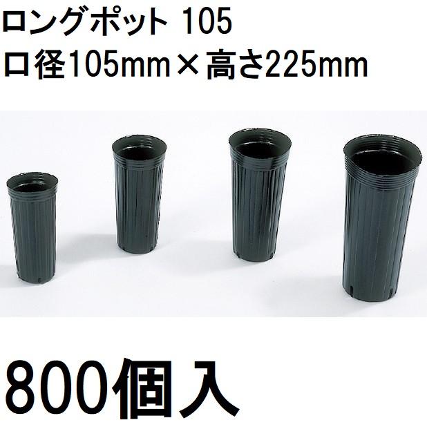 徳用800個入) ロングポット 10.5cm ポリポット ポリ鉢 105 カド穴4