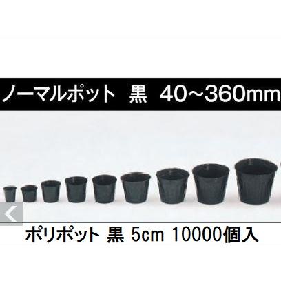 10000個入特価) ポリポット 5cm ポリ鉢 丸型ポット 黒丸 50 底穴1 口径