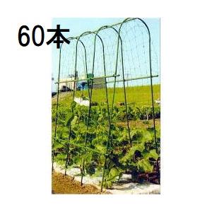 60本セット) 菜園 アーチ支柱 A-210型 間口37cm径14mm×210cm 第一