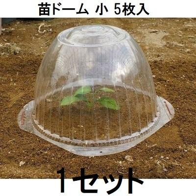 専用ニ苗 5枚入) 苗ドーム 小 苗カバー 第一ビニール (zs30) : ザ・タッキー